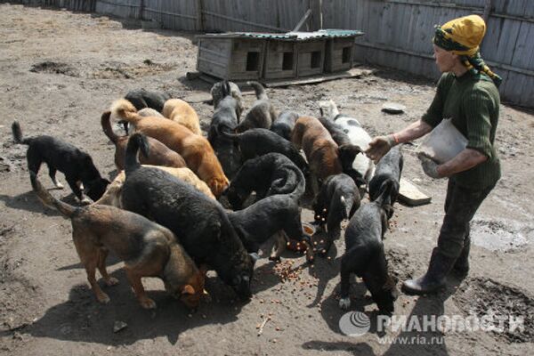 Zoya Andriuschenko, madre adoptiva de animales abandonados - Sputnik Mundo