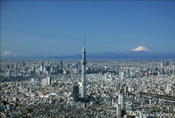 Científico ruso predice terremoto devastador en Japón en los próximos dos años - Sputnik Mundo