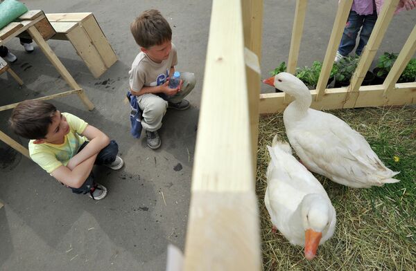 “Semana Verde” se celebra en el Parque Gorki de Moscú - Sputnik Mundo