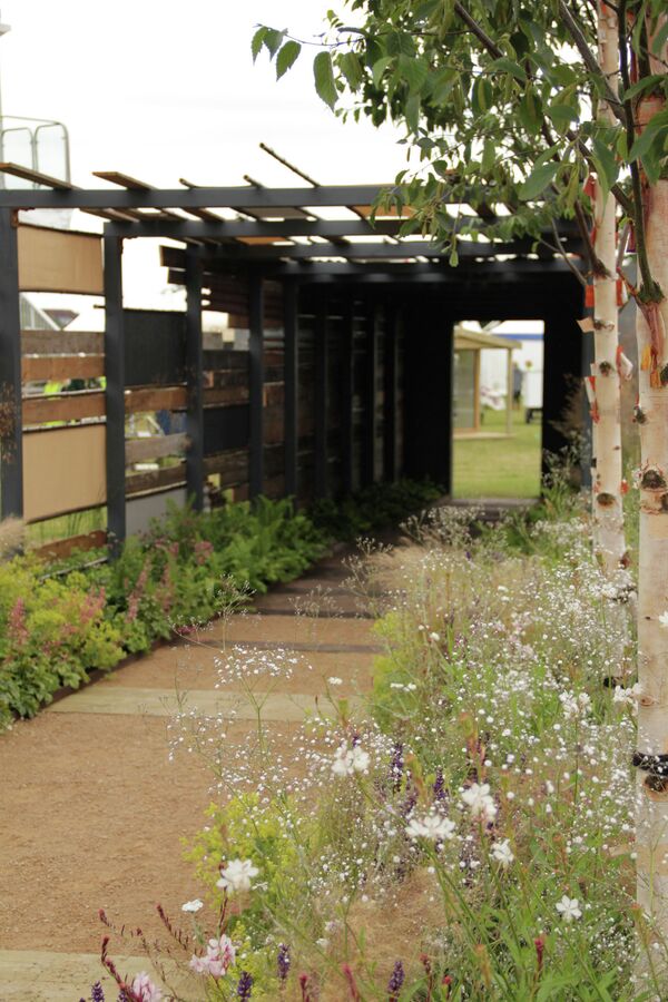 Jardines del mundo en  la exposición floral de Hampton Court - Sputnik Mundo