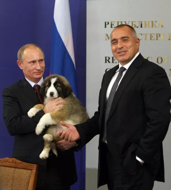 Animales regalados a Vladímir Putin Animales regalados a Vladímir Putin - Sputnik Mundo