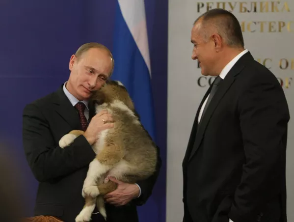 Animales regalados a Vladímir Putin Animales regalados a Vladímir Putin - Sputnik Mundo