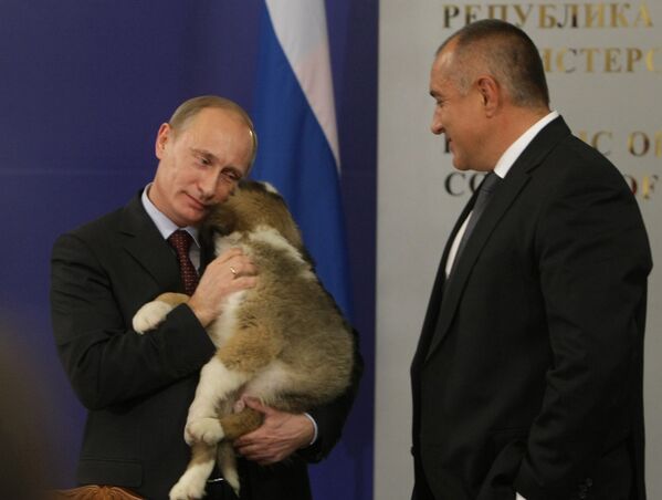 Animales regalados a Vladímir Putin - Sputnik Mundo