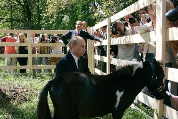 Animales regalados a Vladímir Putin - Sputnik Mundo