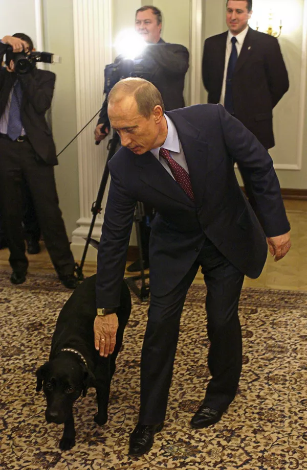 Animales regalados a Vladímir Putin Animales regalados a Vladímir Putin - Sputnik Mundo