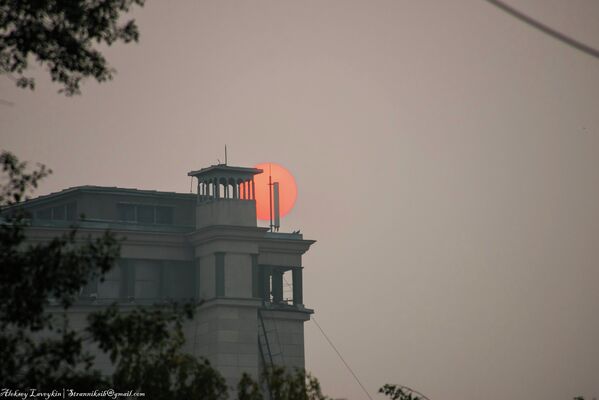 Humo de incendios forestales cubre ciudades de Siberia - Sputnik Mundo