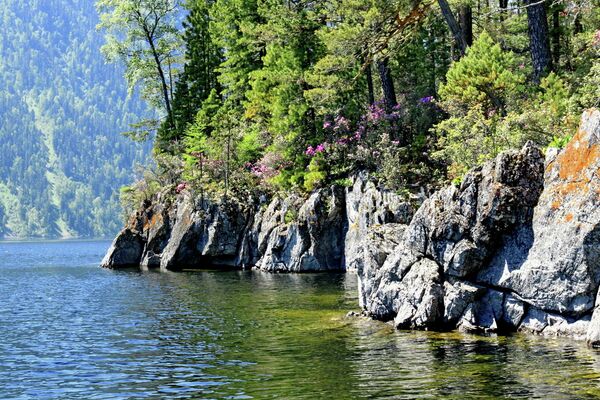 El lago Telétskoye es la perla de los montes rusos de Altái - Sputnik Mundo