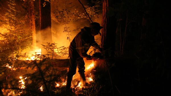 Incendios forestales en Siberia - Sputnik Mundo