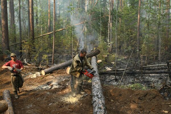 Incendios forestales en Rusia - Sputnik Mundo