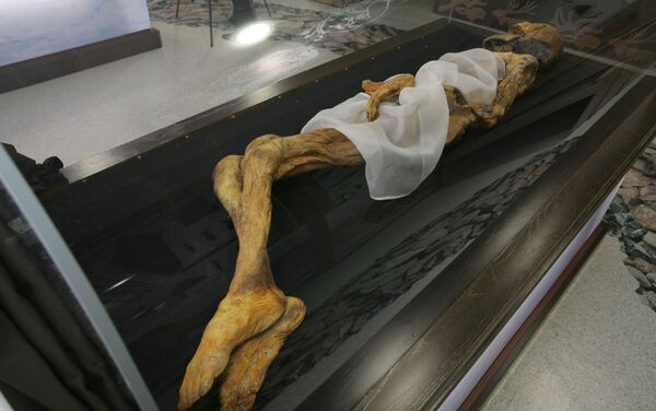 Momia de la Princesa de Altái (archivo) Momia de la Princesa de Altái (archivo) - Sputnik Mundo