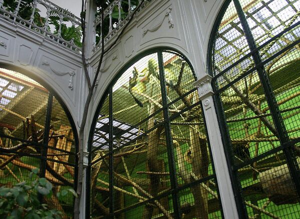 Los zoológicos más antiguos del mundo y sus habitantes exóticos - Sputnik Mundo