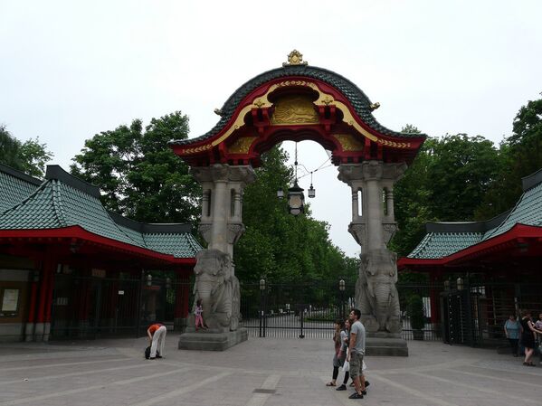 Los zoológicos más antiguos del mundo y sus habitantes exóticos - Sputnik Mundo