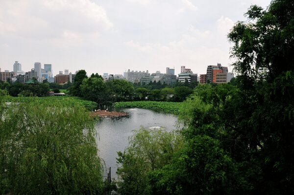 Зоологический сад Уэно  - Sputnik Mundo