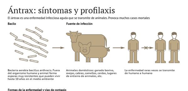 Ántrax: síntomas y profilaxis   - Sputnik Mundo