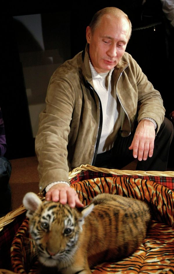 Vladímir Putin en el mundo animal - Sputnik Mundo
