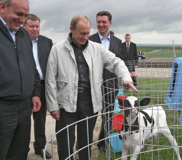 Vladímir Putin en el mundo animal - Sputnik Mundo