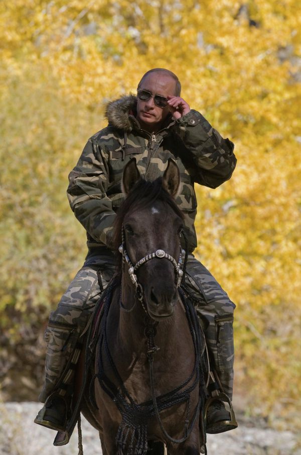 Vladímir Putin en el mundo animal - Sputnik Mundo