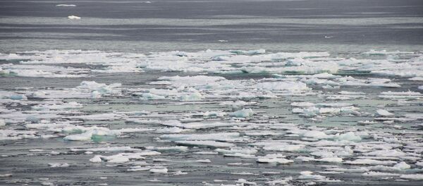 Experto advierte que el calentamiento del Ártico puede liberar nuevas infecciones - Sputnik Mundo