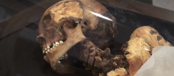 La momia de la “princesa de Altái” regresa a casa La momia de la “princesa de Altái” regresa a casa - Sputnik Mundo