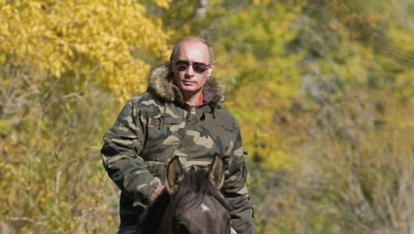 Vladímir Putin, presidente de Rusia Vladímir Putin, presidente de Rusia - Sputnik Mundo