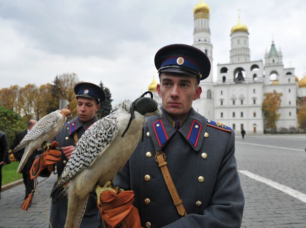 Dos gerifaltes salvados de contrabandistas vivirán en el Kremlin  - Sputnik Mundo