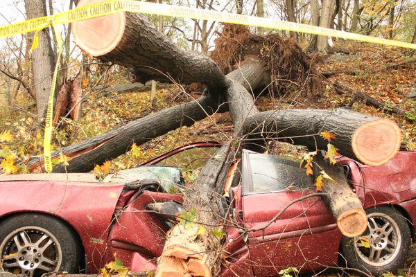 El huracán Sandy causa al menos diez muertos en Nueva York - Sputnik Mundo