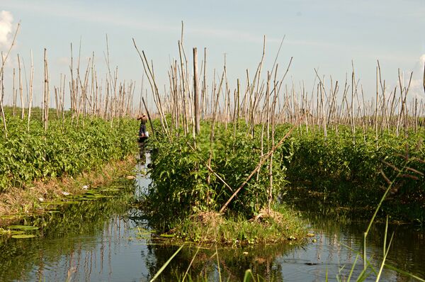Bagan y lago Inle, dos joyas de Myanmar - Sputnik Mundo