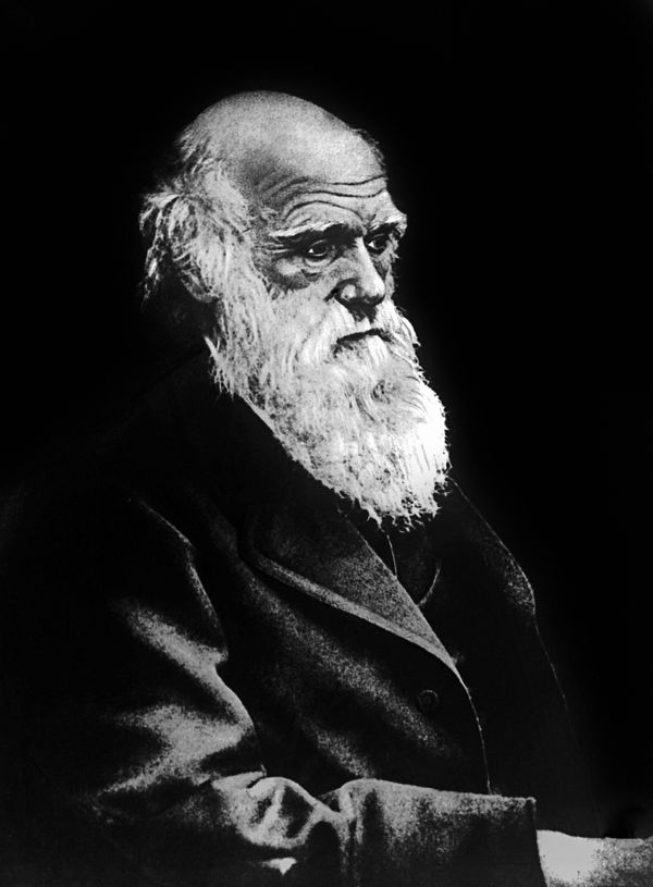 Charles Darwin Charles Darwin - Sputnik Mundo