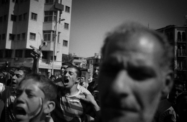 Selección de fotografías de RIA Novosti. El mundo - Sputnik Mundo