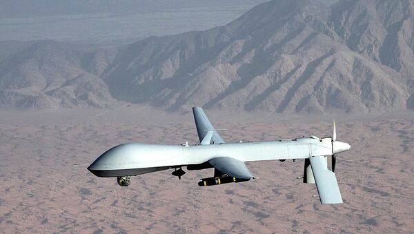 El avión no tripulado estadounidense MQ-1 Predator (archivo) - Sputnik Mundo