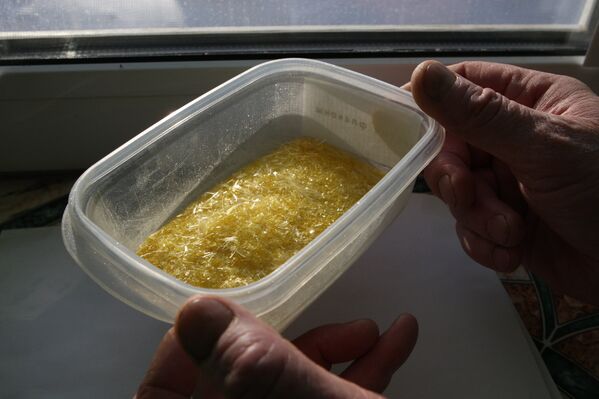 El Serpentario de Siberia, una fábrica de veneno puro - Sputnik Mundo