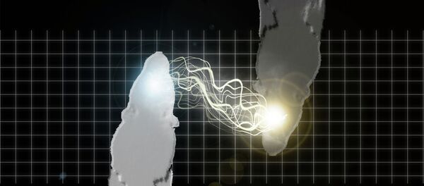 Ordenador orgánico - Sputnik Mundo