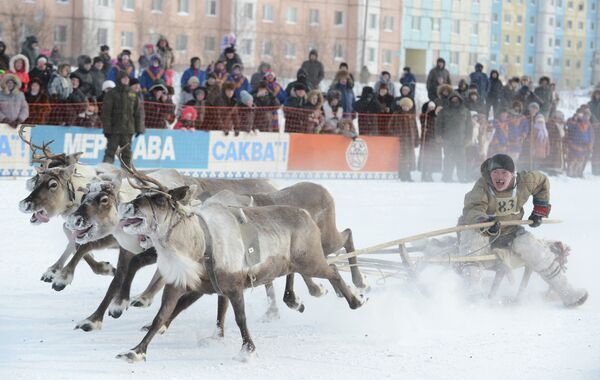 Torneo de pastores de renos en el norte de Siberia - Sputnik Mundo