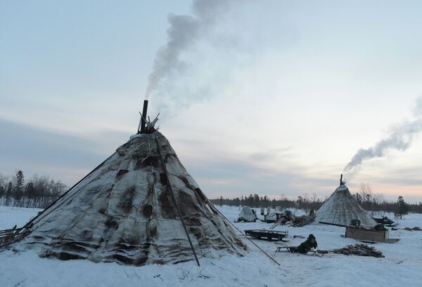 Torneo de pastores de renos en el norte de Siberia - Sputnik Mundo