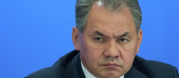 Serguéi Shoigú, ministro de Defensa de Rusia - Sputnik Mundo