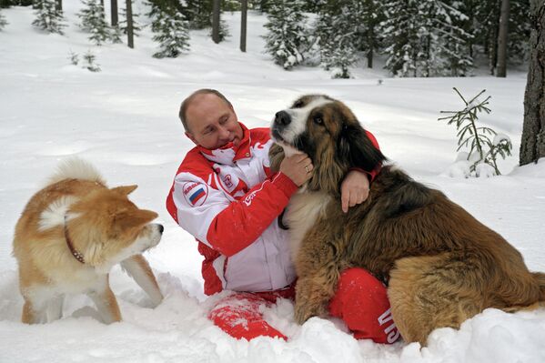 Vladímir Putin se divierte con sus mascotas sobre la nieve en la región de Moscú - Sputnik Mundo