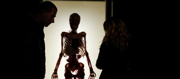 Un esqueleto Un esqueleto - Sputnik Mundo