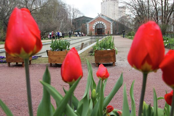 La primavera llega a Moscú - Sputnik Mundo