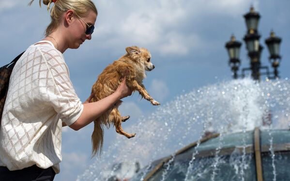 Moscovitas se refrescan en las fuentes para combatir el inusual calor - Sputnik Mundo