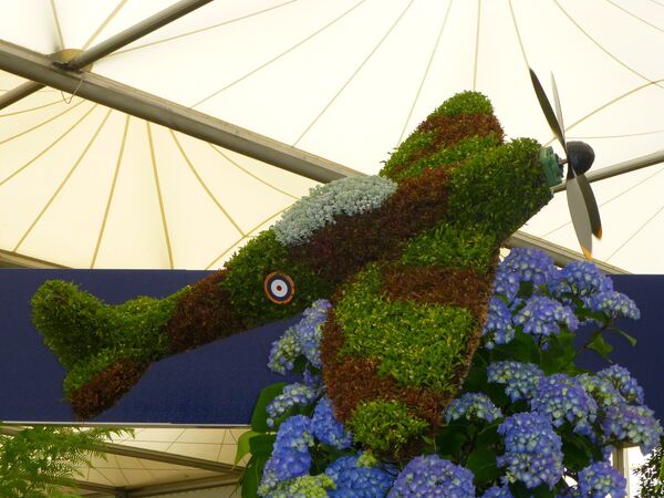 Festival de Flores de Chelsea - Sputnik Mundo