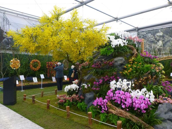 Festival de Flores de Chelsea - Sputnik Mundo