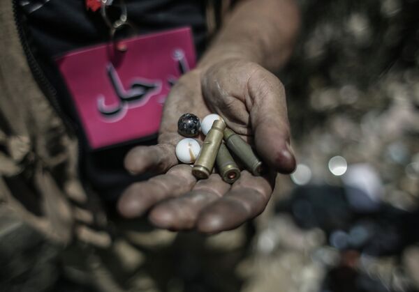 La oposición egipcia celebra el ultimátum militar - Sputnik Mundo