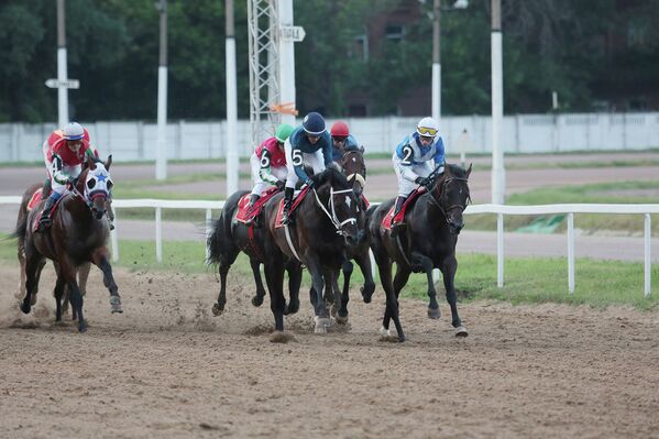 Carrera de caballos por la Copa Presidente de Rusia - Sputnik Mundo