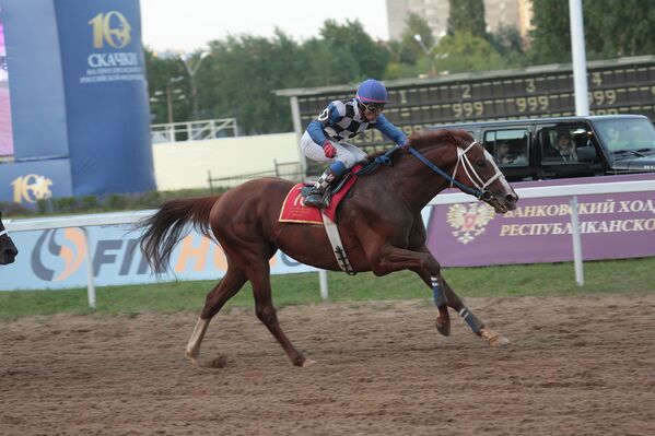 Carrera de caballos por la Copa Presidente de Rusia - Sputnik Mundo