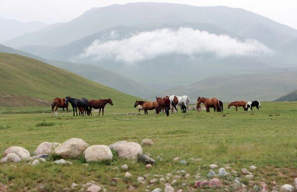 Valle de Suusamyr, “El Dorado pastoril” en Kirguizistán - Sputnik Mundo