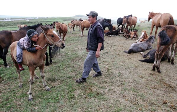 Valle de Suusamyr, “El Dorado pastoril” en Kirguizistán - Sputnik Mundo