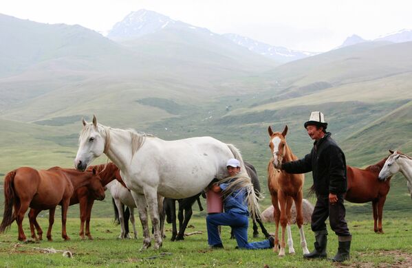 Valle de Suusamyr, “El Dorado pastoril” en Kirguizistán - Sputnik Mundo