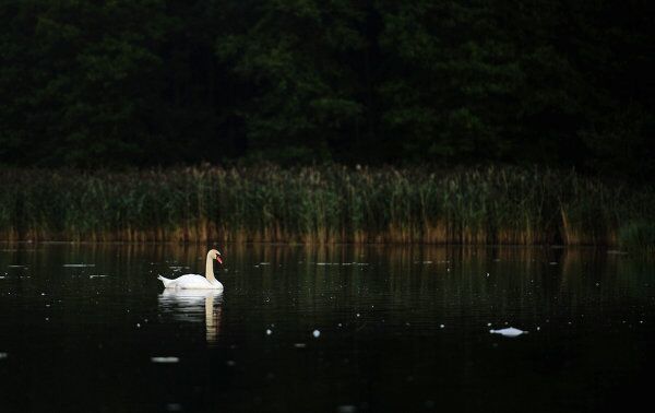 La provincia rusa de Pskov, un museo al aire libre - Sputnik Mundo
