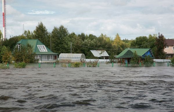 Más de 5.000 militares reparan los daños de las inundaciones en Lejano Oriente ruso Más de 5.000 militares reparan los daños de las inundaciones en Lejano Oriente ruso - Sputnik Mundo