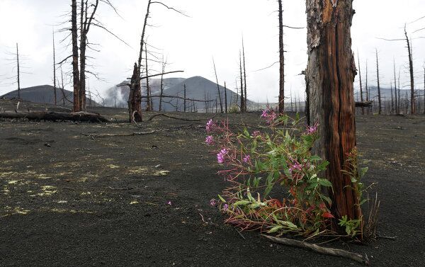 El Parque Nacional de Volcanes en Kamchatka - Sputnik Mundo